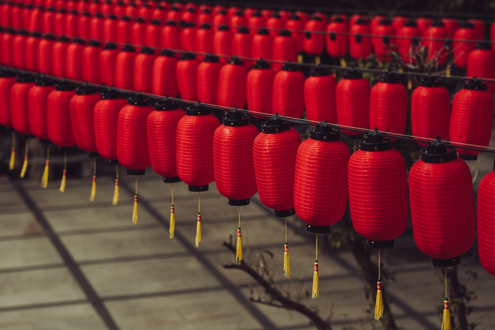 a bunch of red lanterns hanging from a line