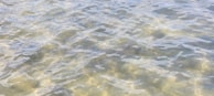 Rippling water with a mix of light reflections and gentle waves, creating a tranquil and calming effect.