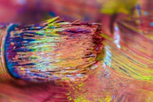 Close-up of a paintbrush loaded with vibrant color, poised over a textured wall.