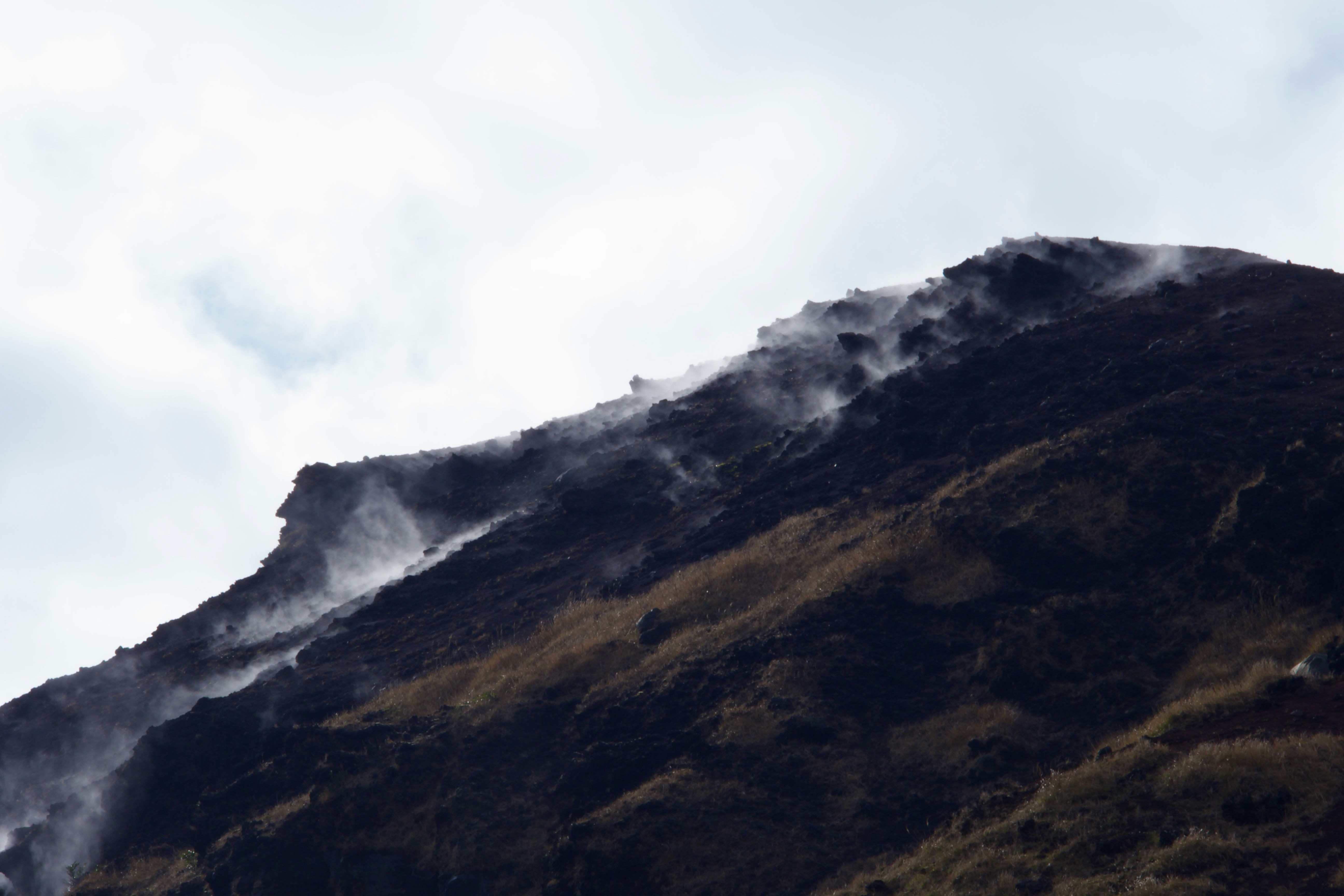 セレッソ 大阪 ジュニア ユニフォーム