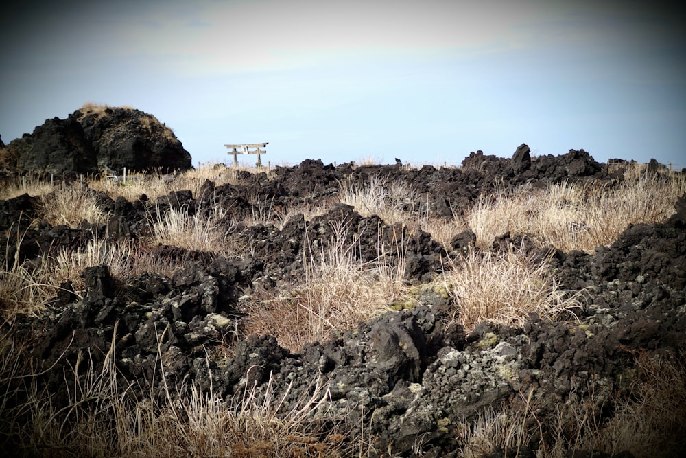 there is a sign on the top of a hill