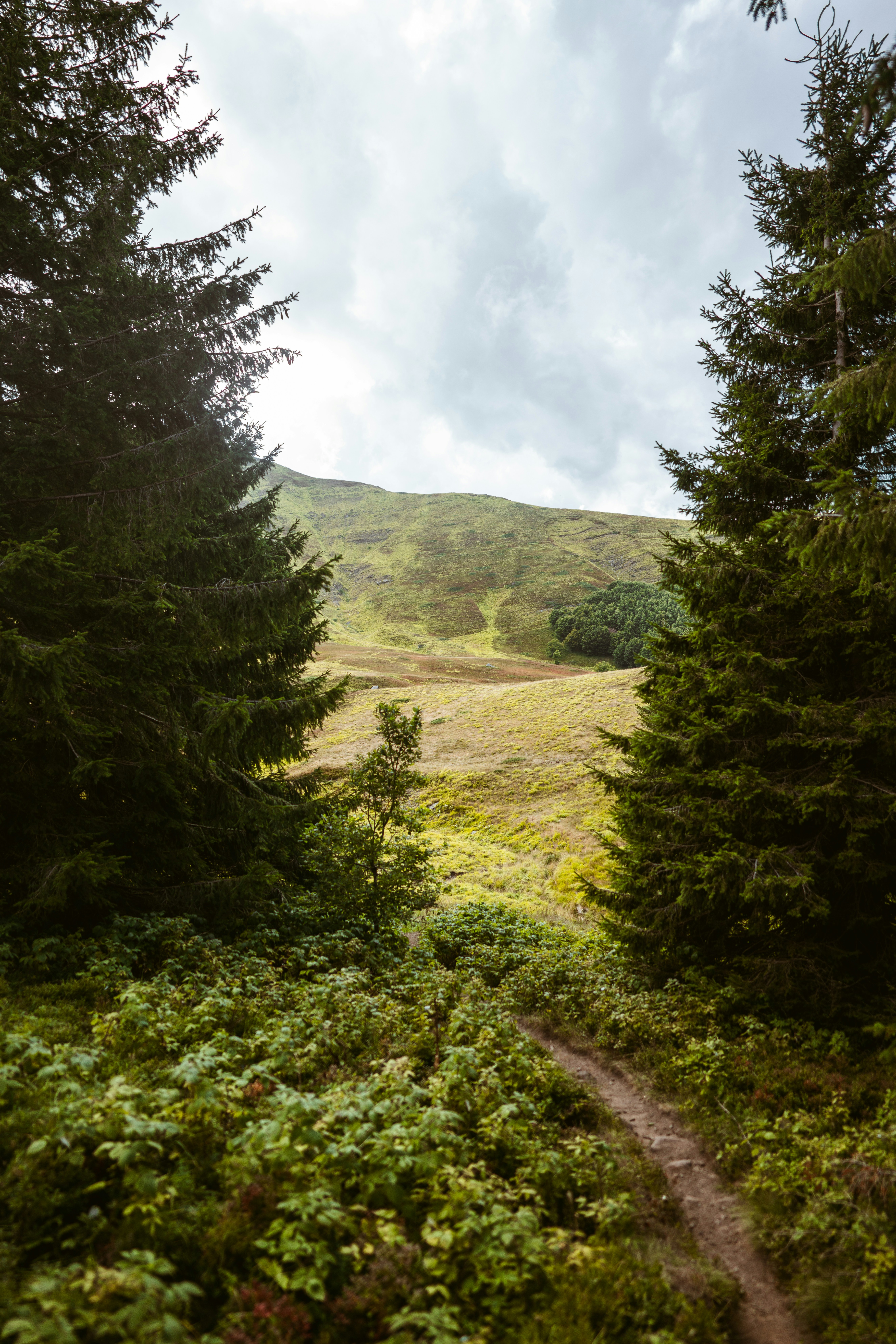 Photo by brunovdkraan