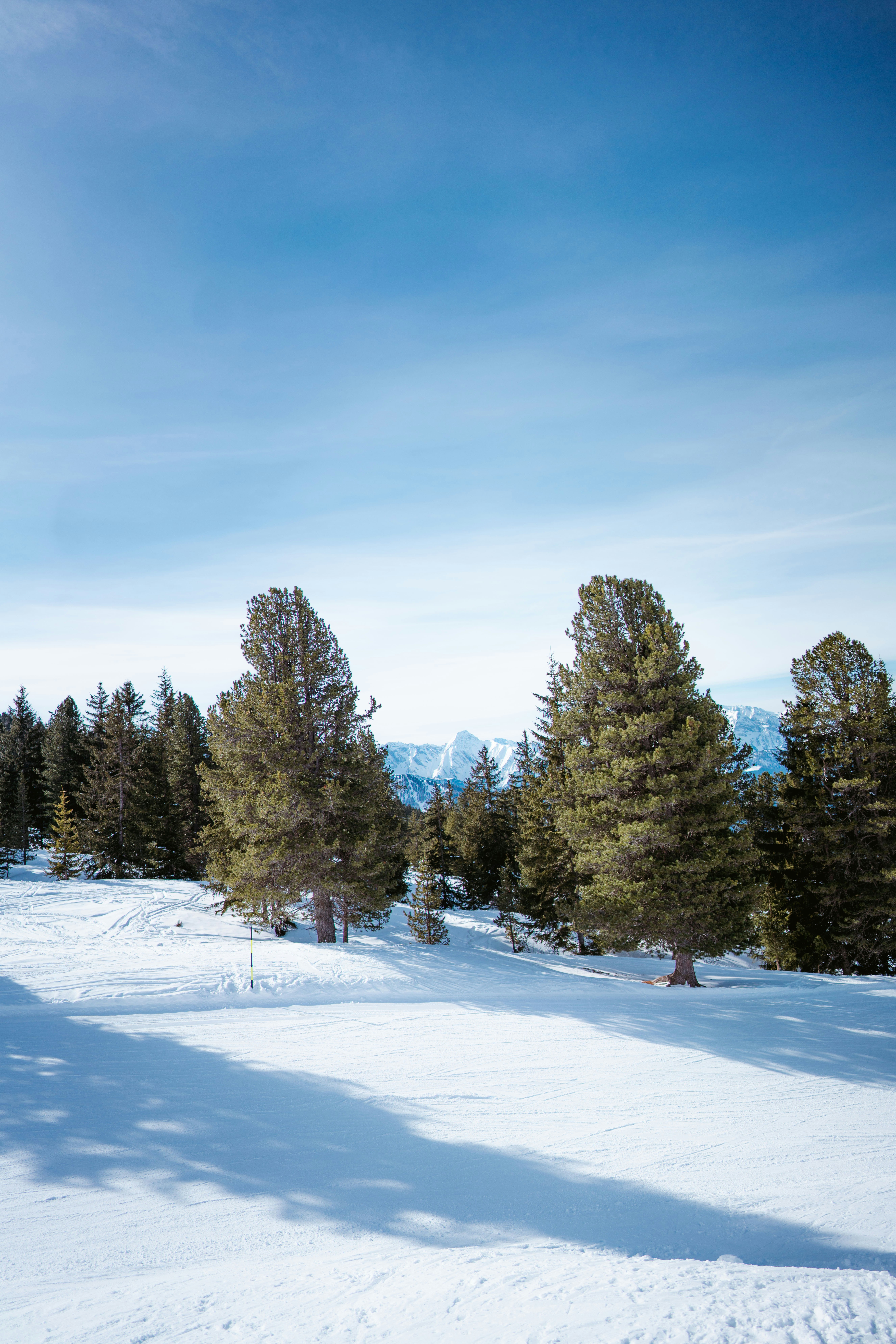 Photo by brunovdkraan