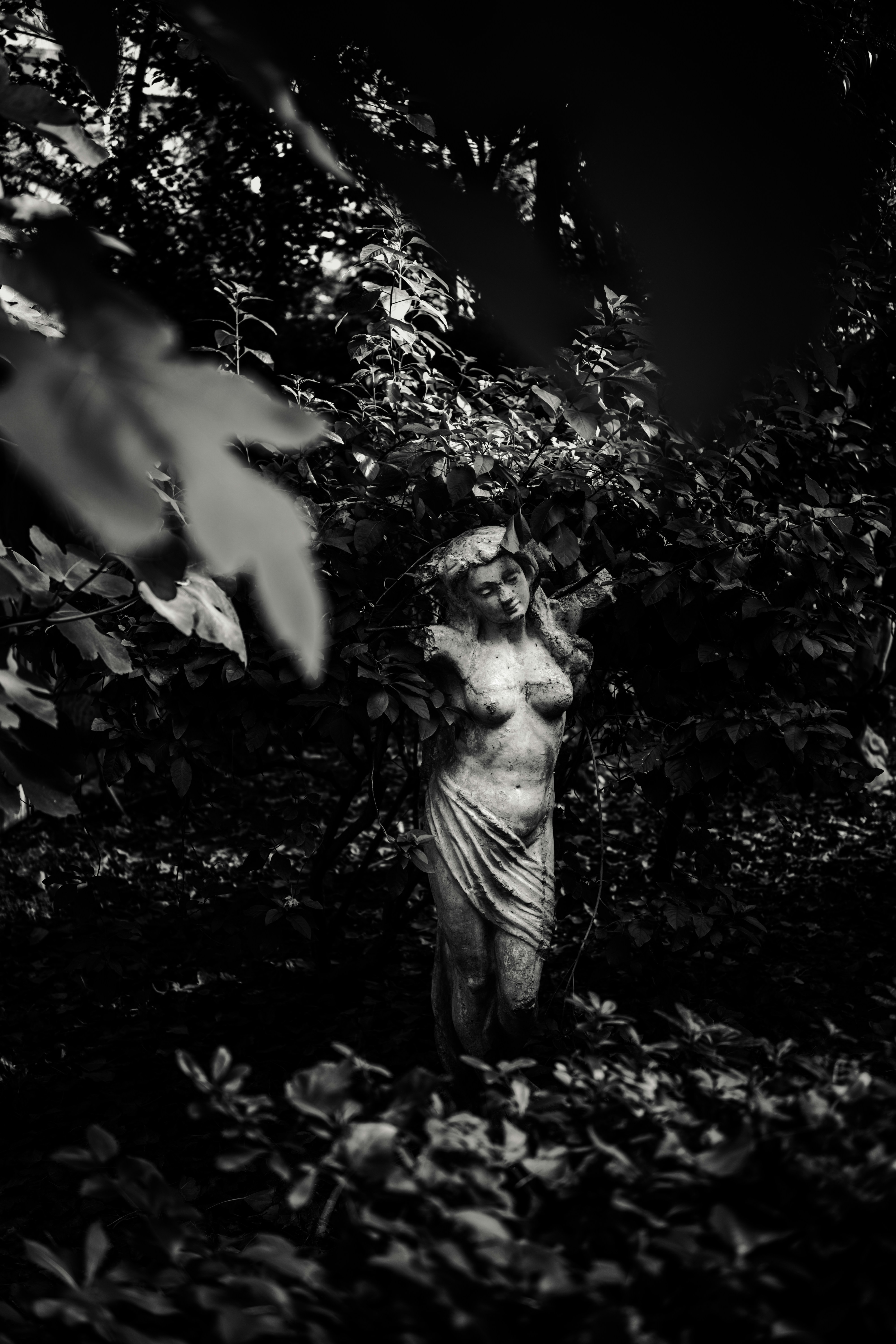 Photo by igorharrier