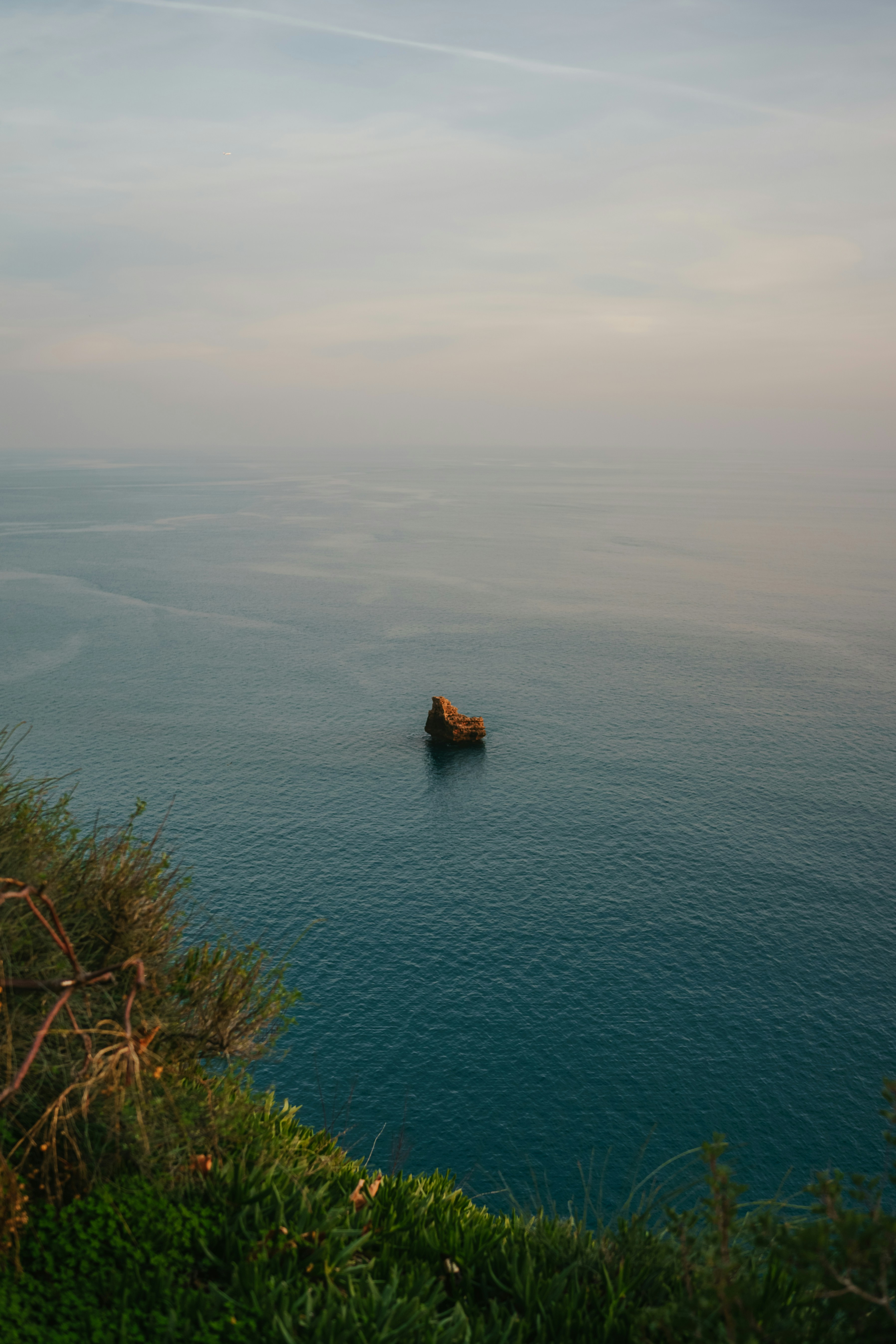 Photo by igorharrier