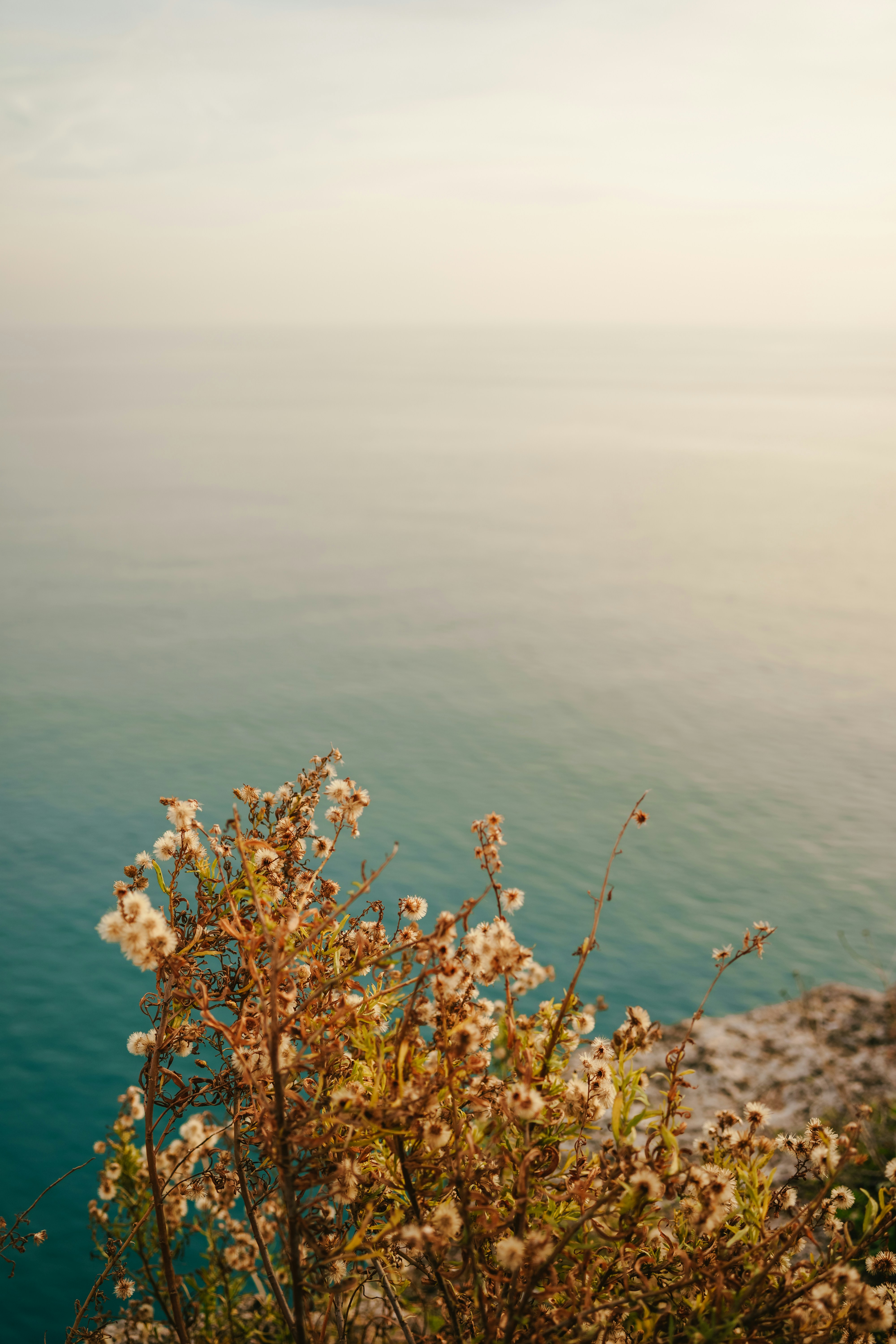 Photo by igorharrier