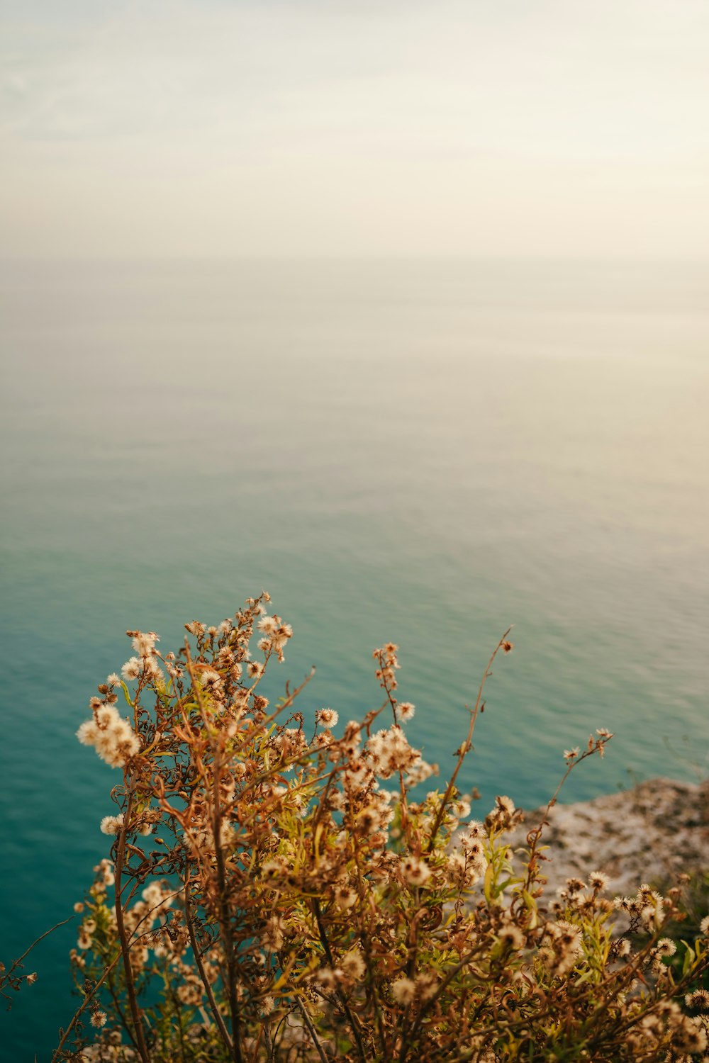 una vista di uno specchio d'acqua da una scogliera