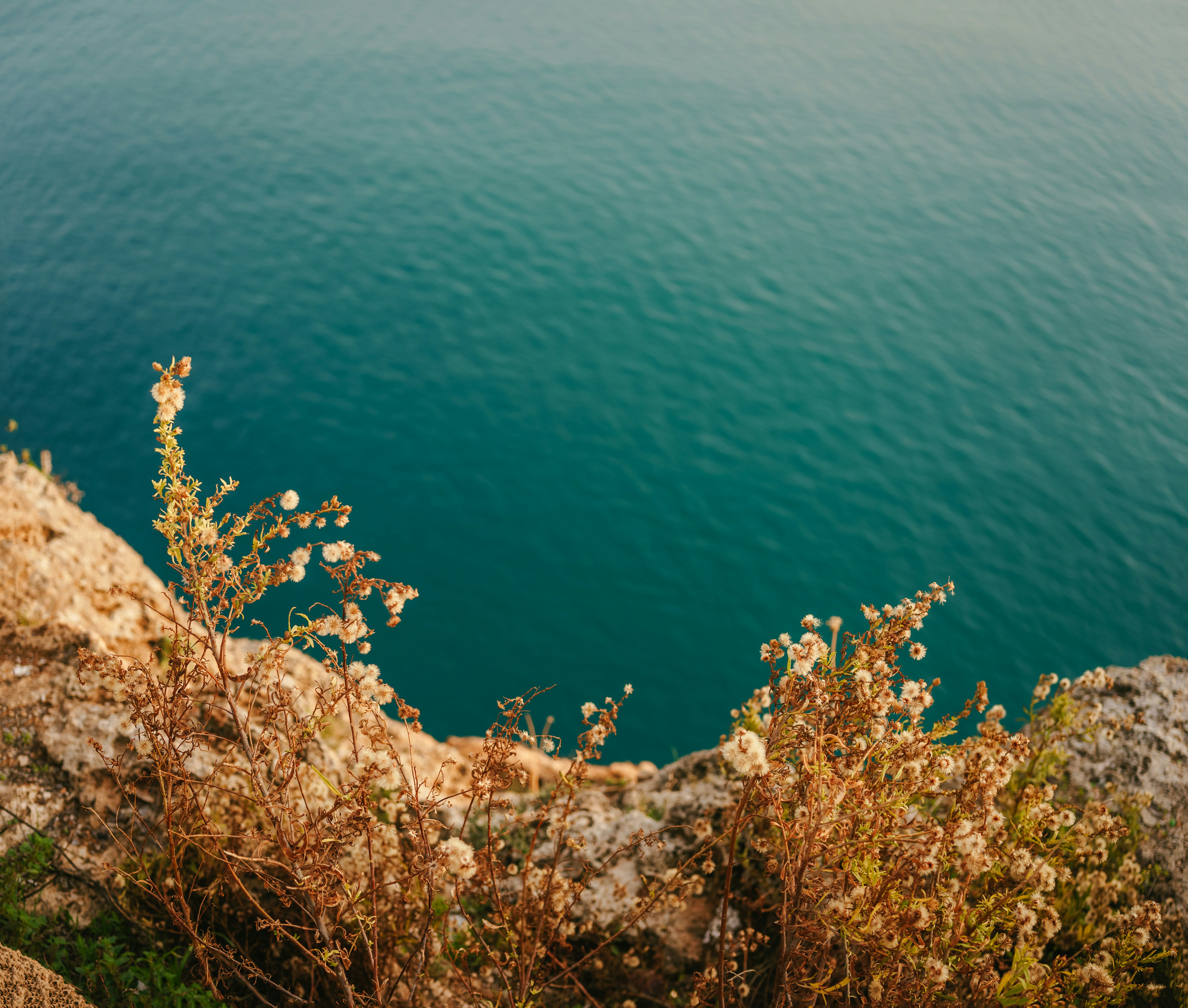 Photo by igorharrier