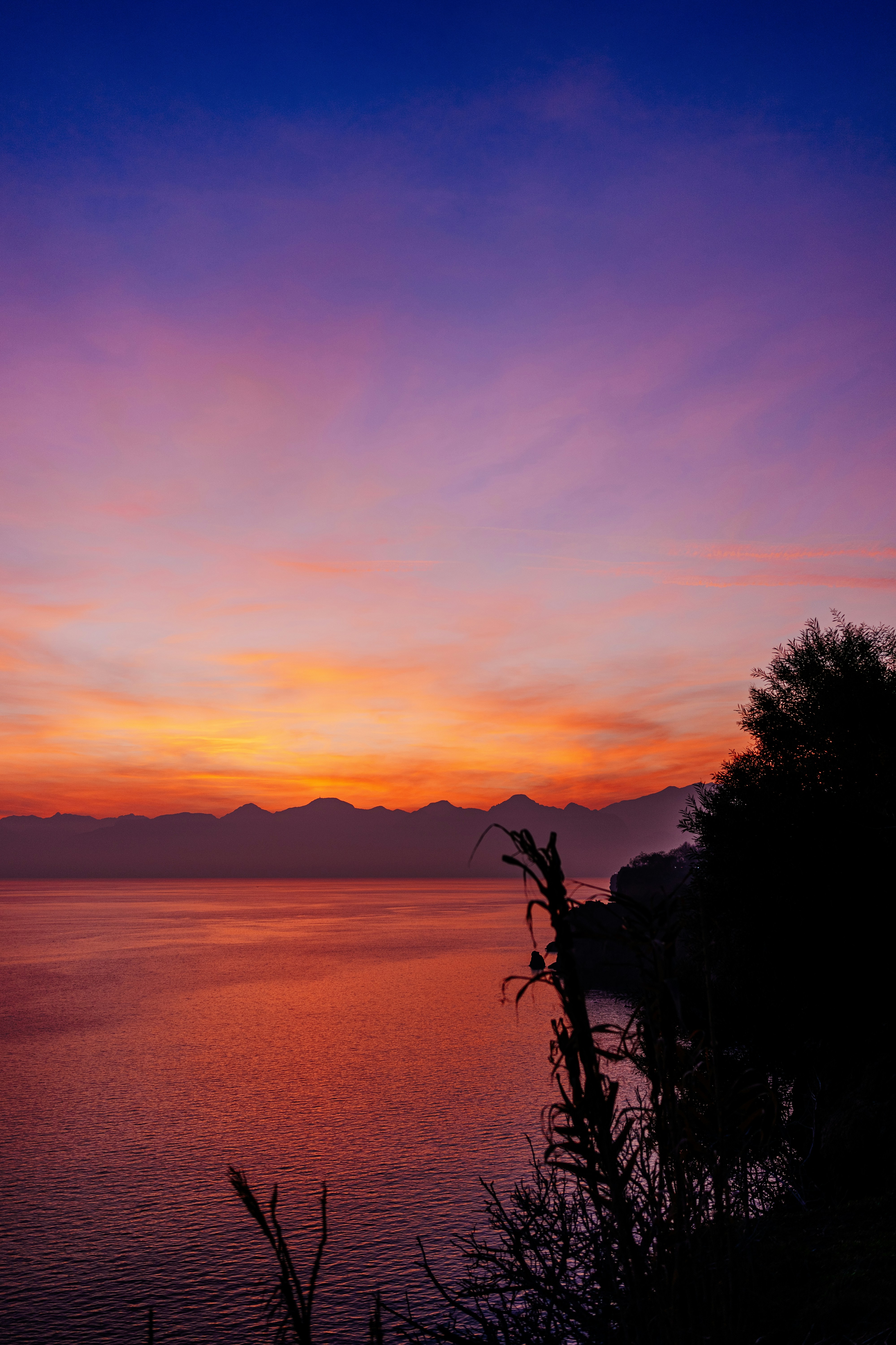 Photo by igorharrier