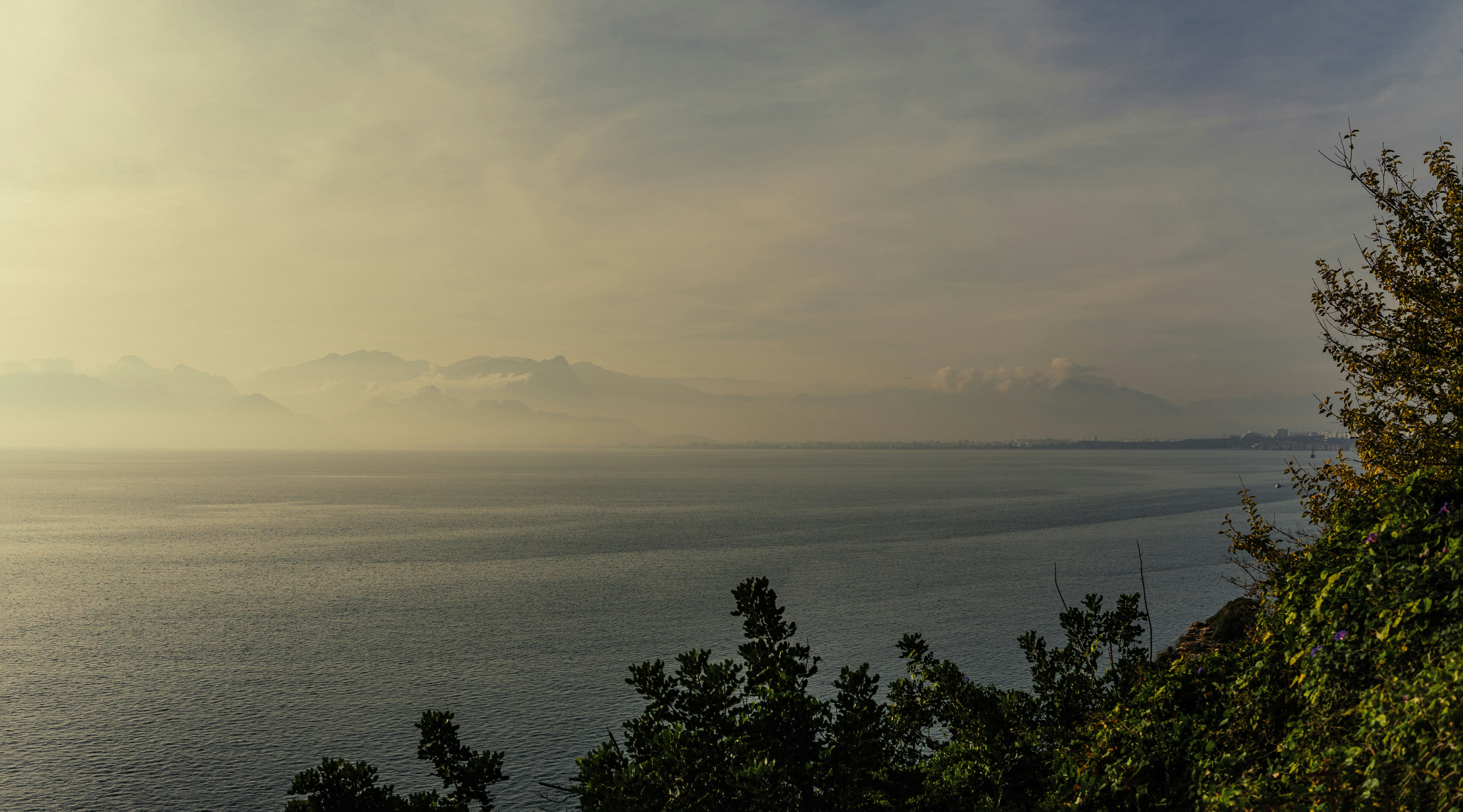Photo by igorharrier