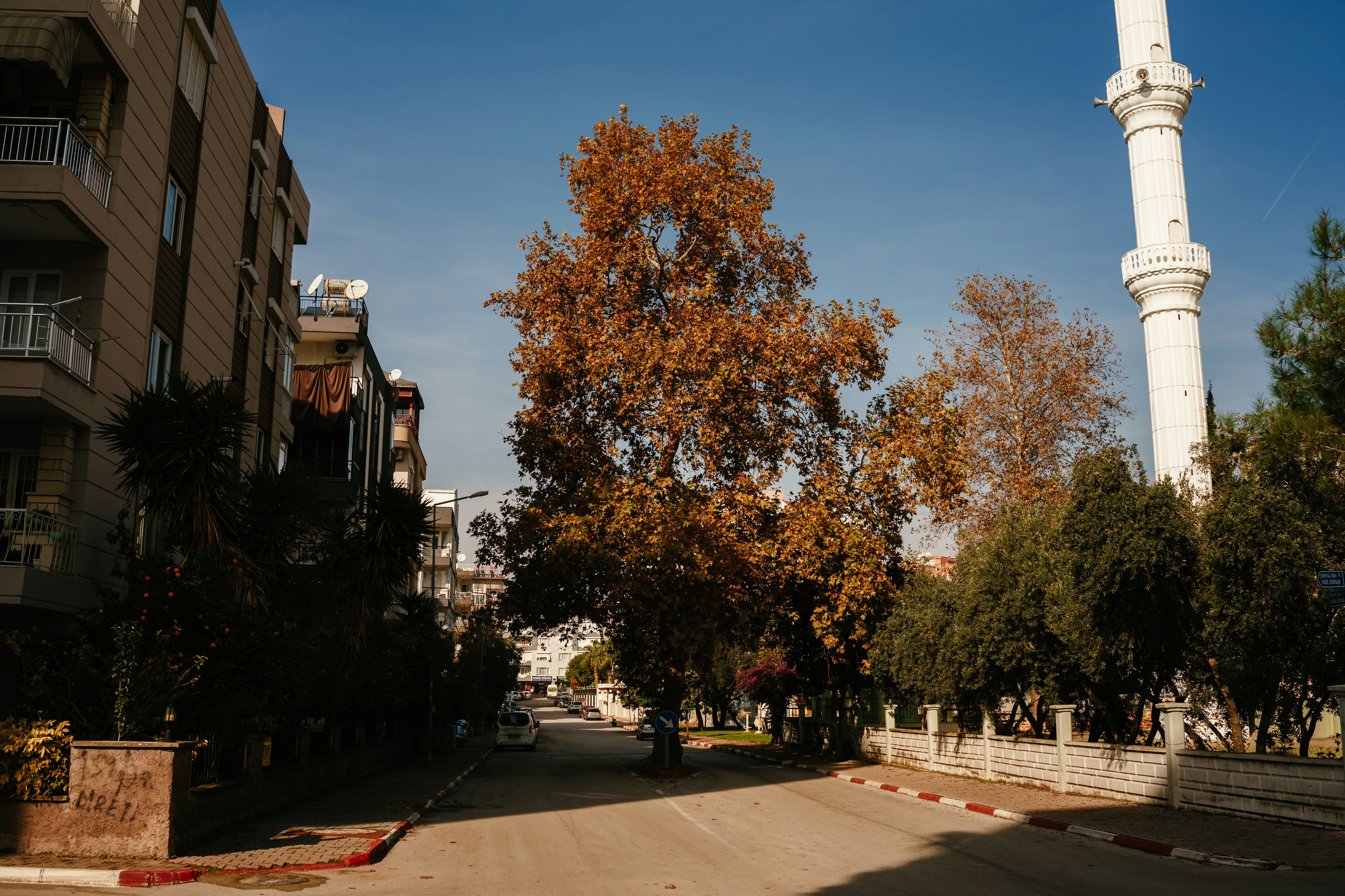 Photo by igorharrier