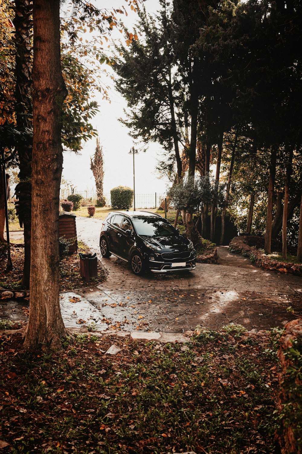 a black car parked in a parking lot next to trees