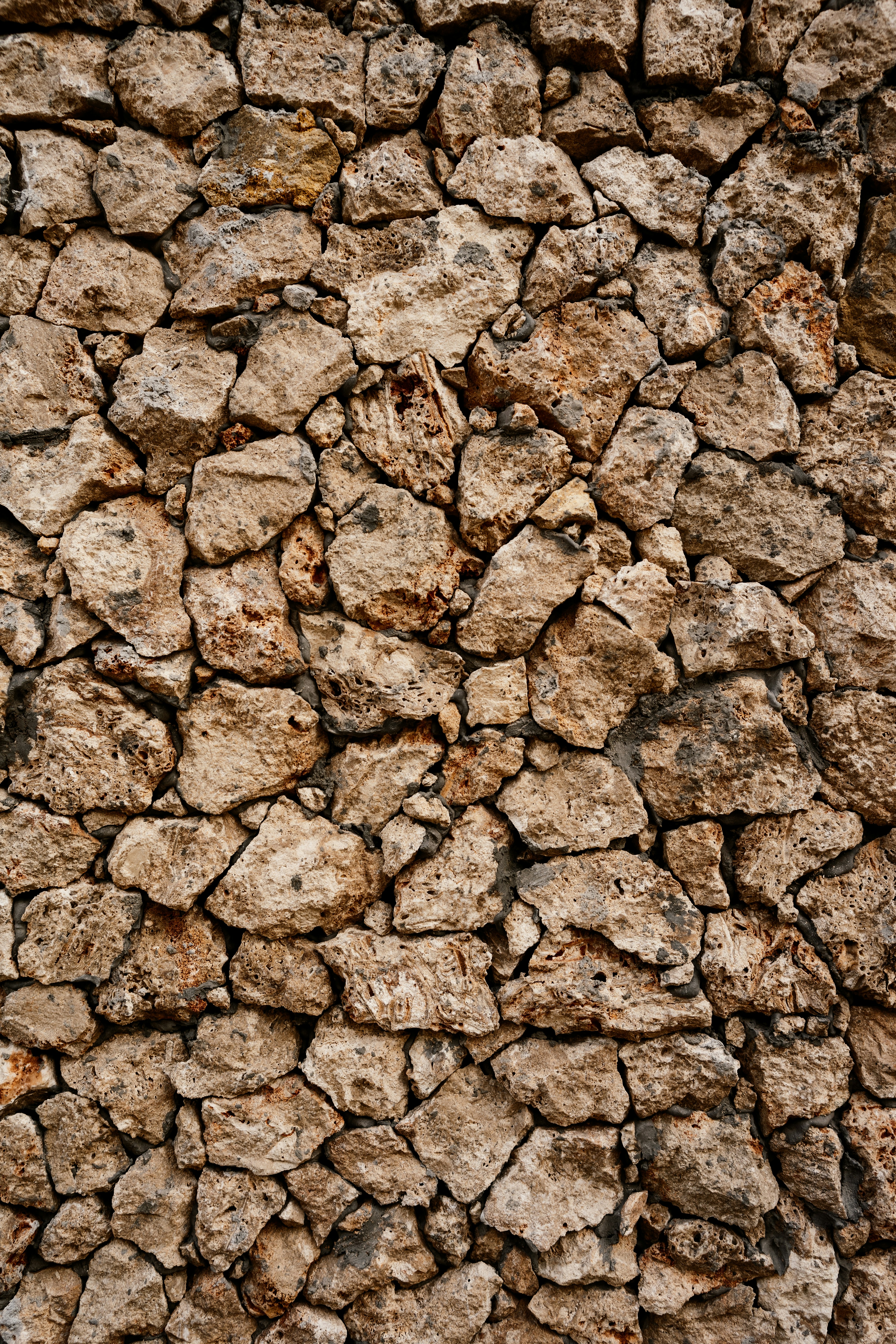 Photo by igorharrier