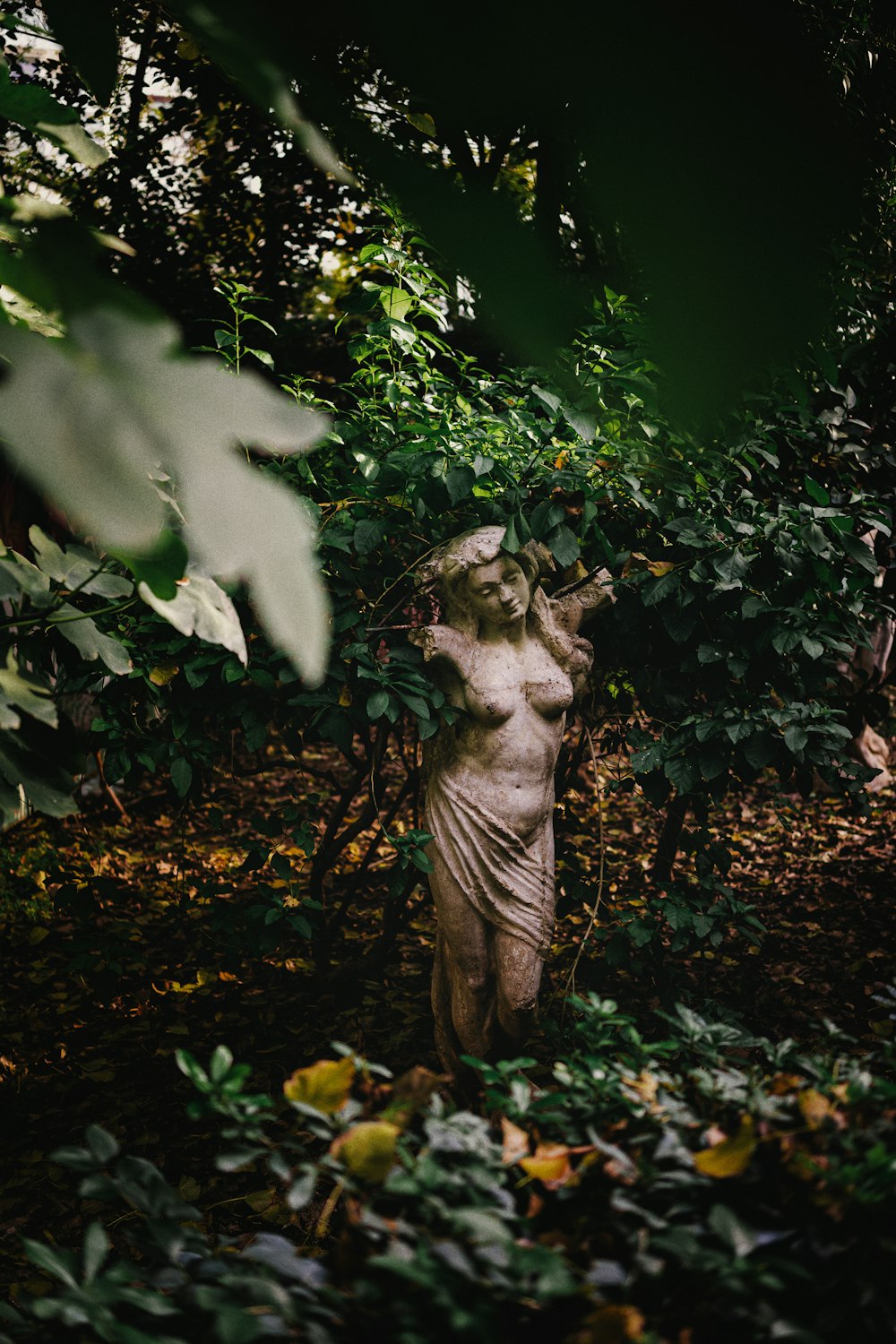 a statue in the middle of a forest