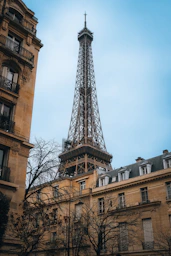 the eiffel tower towering over the city of paris