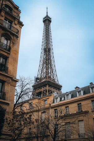 the eiffel tower towering over the city of paris