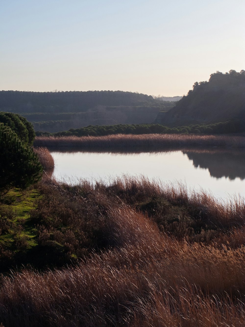 a body of water surrounded by grass and trees