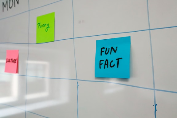 A whiteboard features a grid layout with blue lines and has colorful sticky notes attached to it. The sticky notes include a blue one labeled 'FUN FACT,' a green one labeled 'Funny,' and a pink one labeled 'CULTURE.'