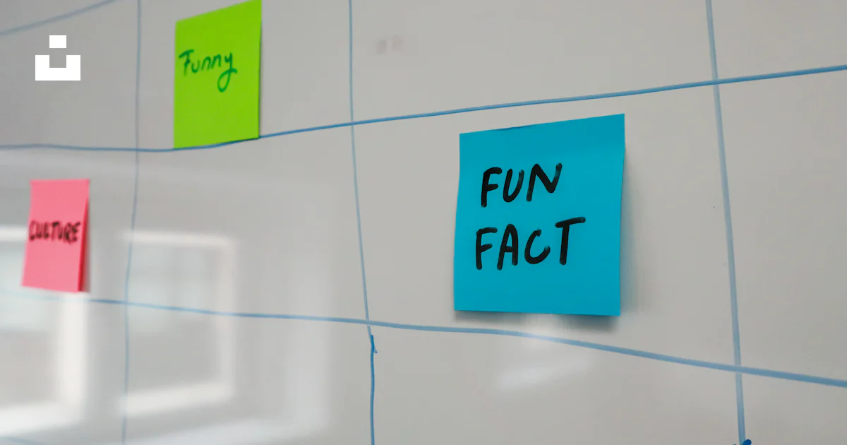 Fun Fact Notes Sticky notes on a wall with the words fun fact written on them photo ...