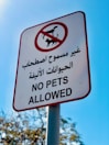 A signpost with a white background and a red circle and line crossing out the silhouette of a dog and cat, indicating that pets are not allowed. The sign contains Arabic text above and below an English message saying 'NO PETS ALLOWED.' The background features a clear blue sky and blurred tree branches.
