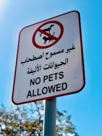 A signpost with a white background and a red circle and line crossing out the silhouette of a dog and cat, indicating that pets are not allowed. The sign contains Arabic text above and below an English message saying 'NO PETS ALLOWED.' The background features a clear blue sky and blurred tree branches.