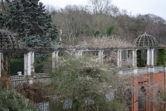 An outdoor scene of a rustic, columned structure with wooden beams forming a pergola. The scene is set in a lush garden with dense foliage, including trees and shrubs surrounding the structure. The garden appears to be in a dormant season, as the trees are bare. The background features a backdrop of numerous leafless trees, indicating a possible winter or early spring setting.