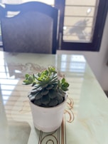 A minimalist pot holding a small succulent on a wooden table by a sunny window.