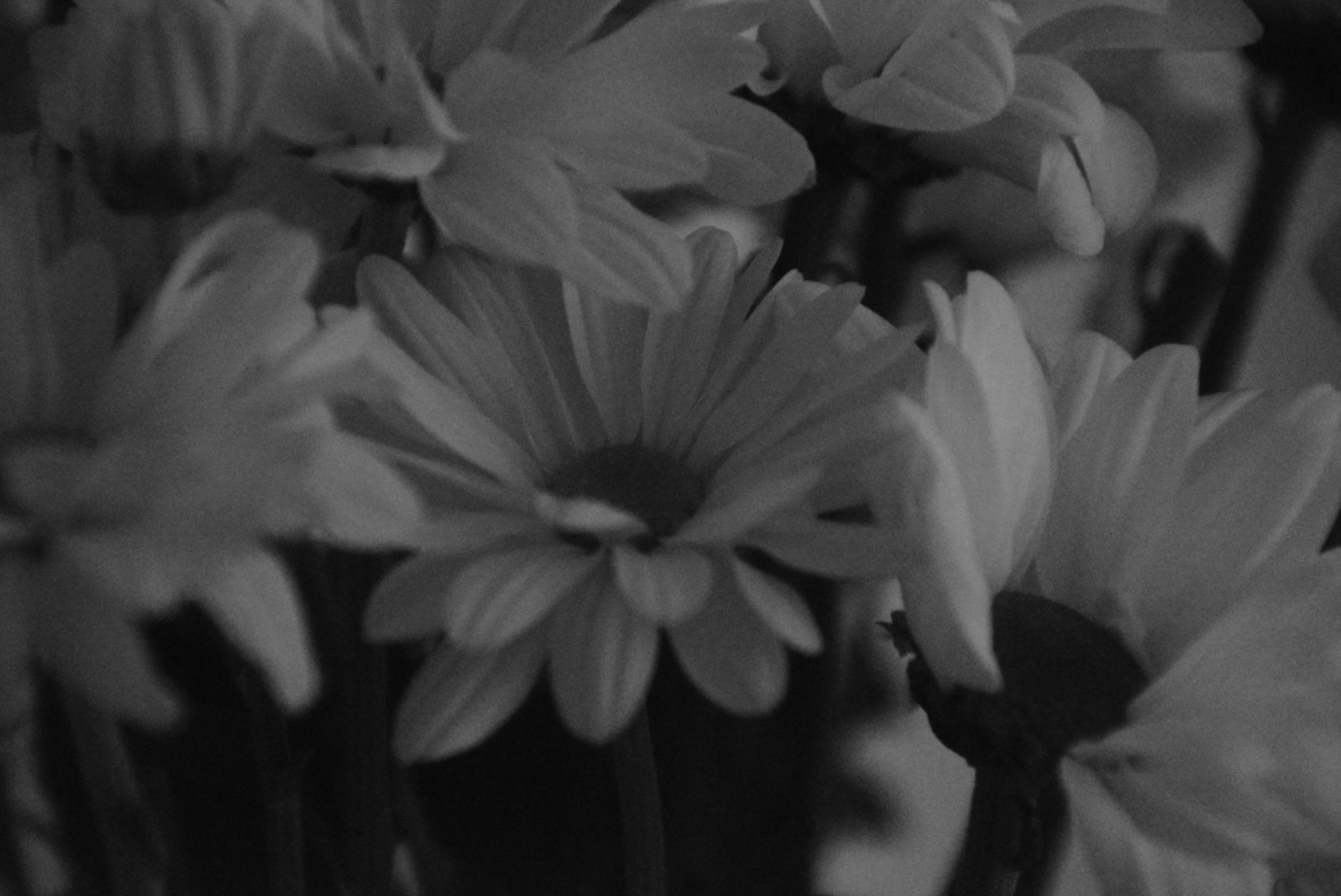 a bunch of flowers that are in a vase