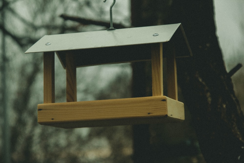 a bird feeder hanging from a tree in a forest