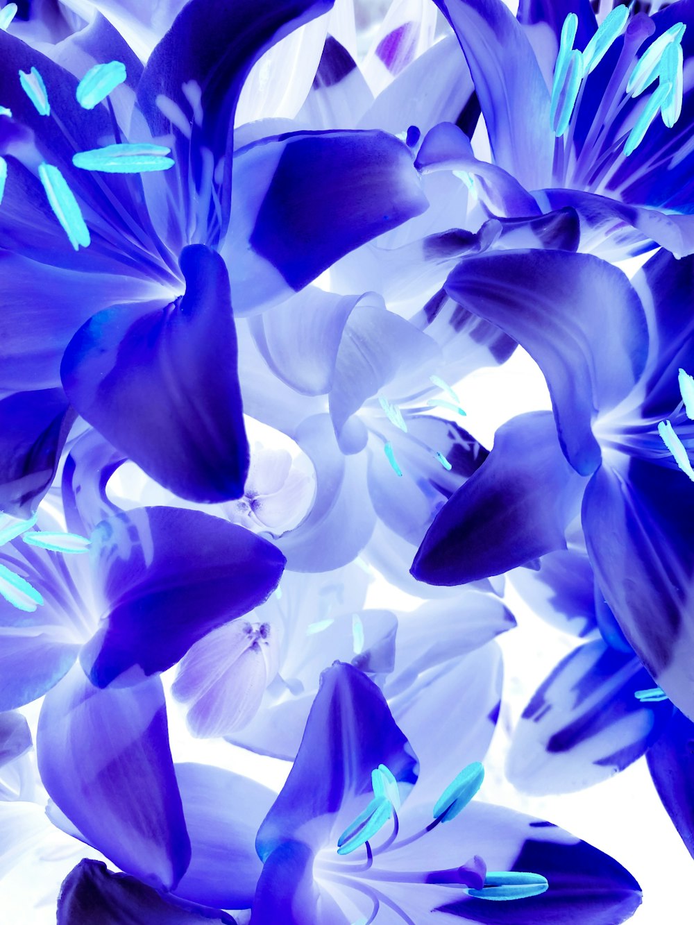 a bunch of blue and white flowers in a vase