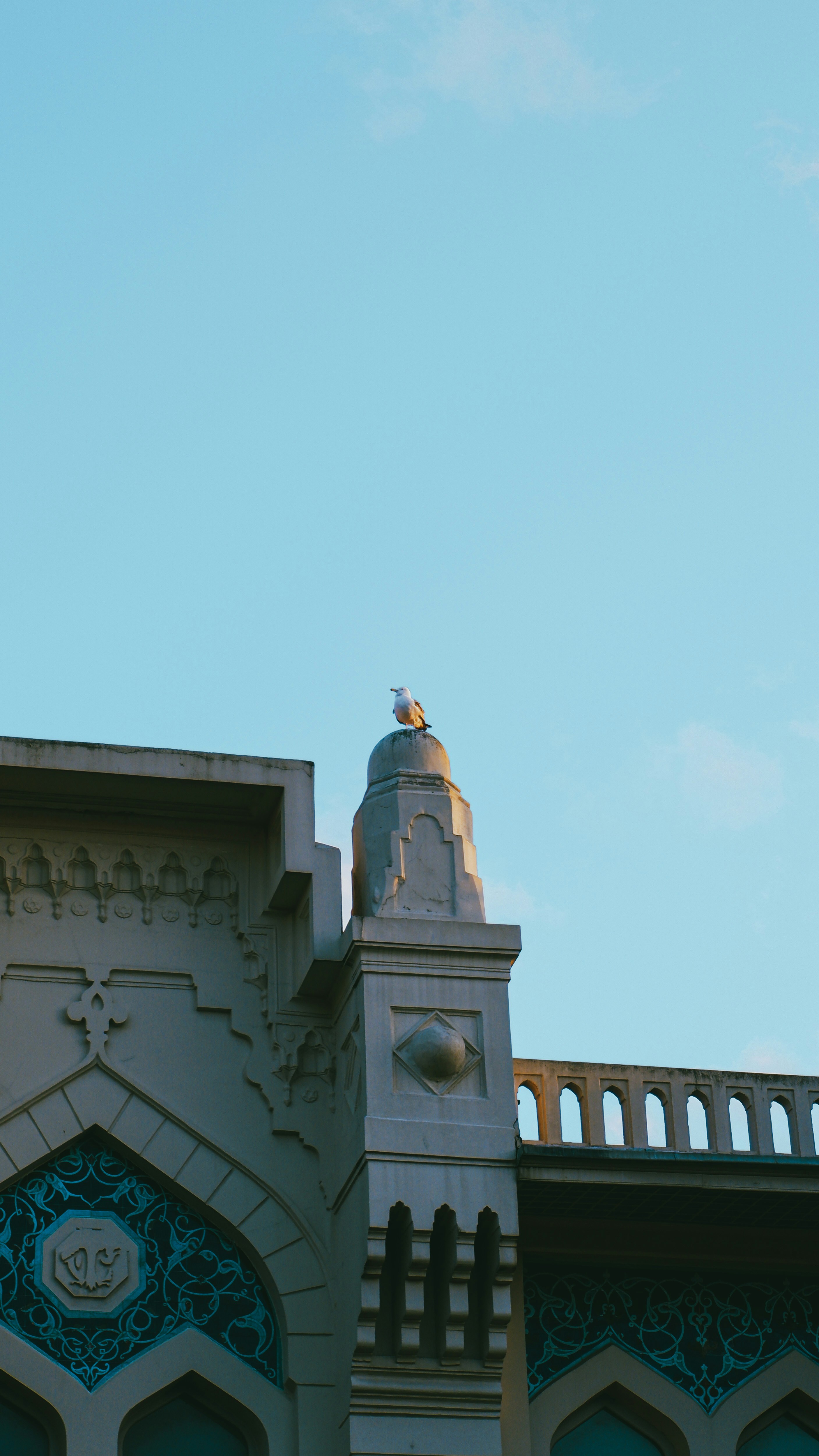 Photo by burakdonertas