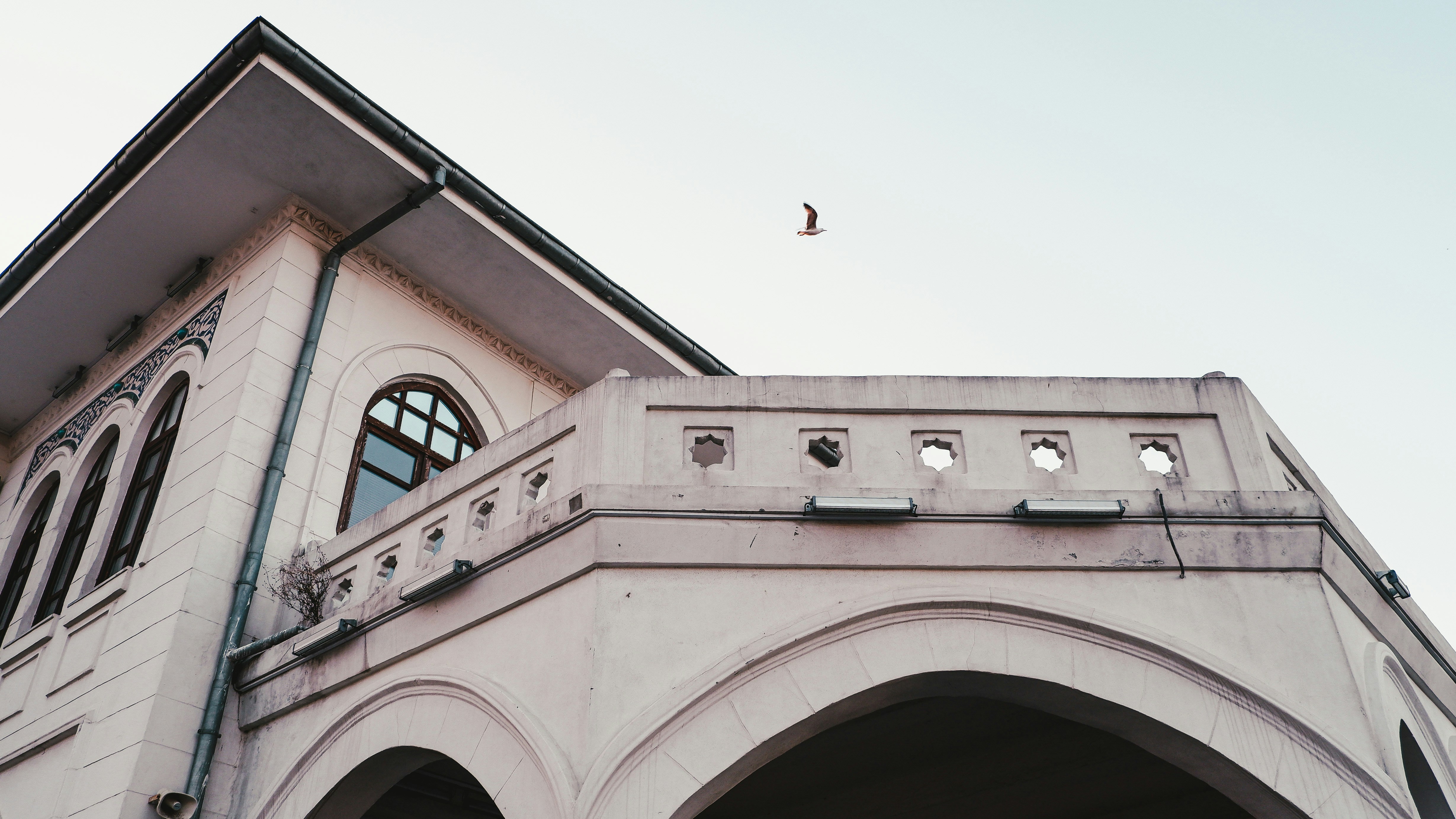 Photo by burakdonertas