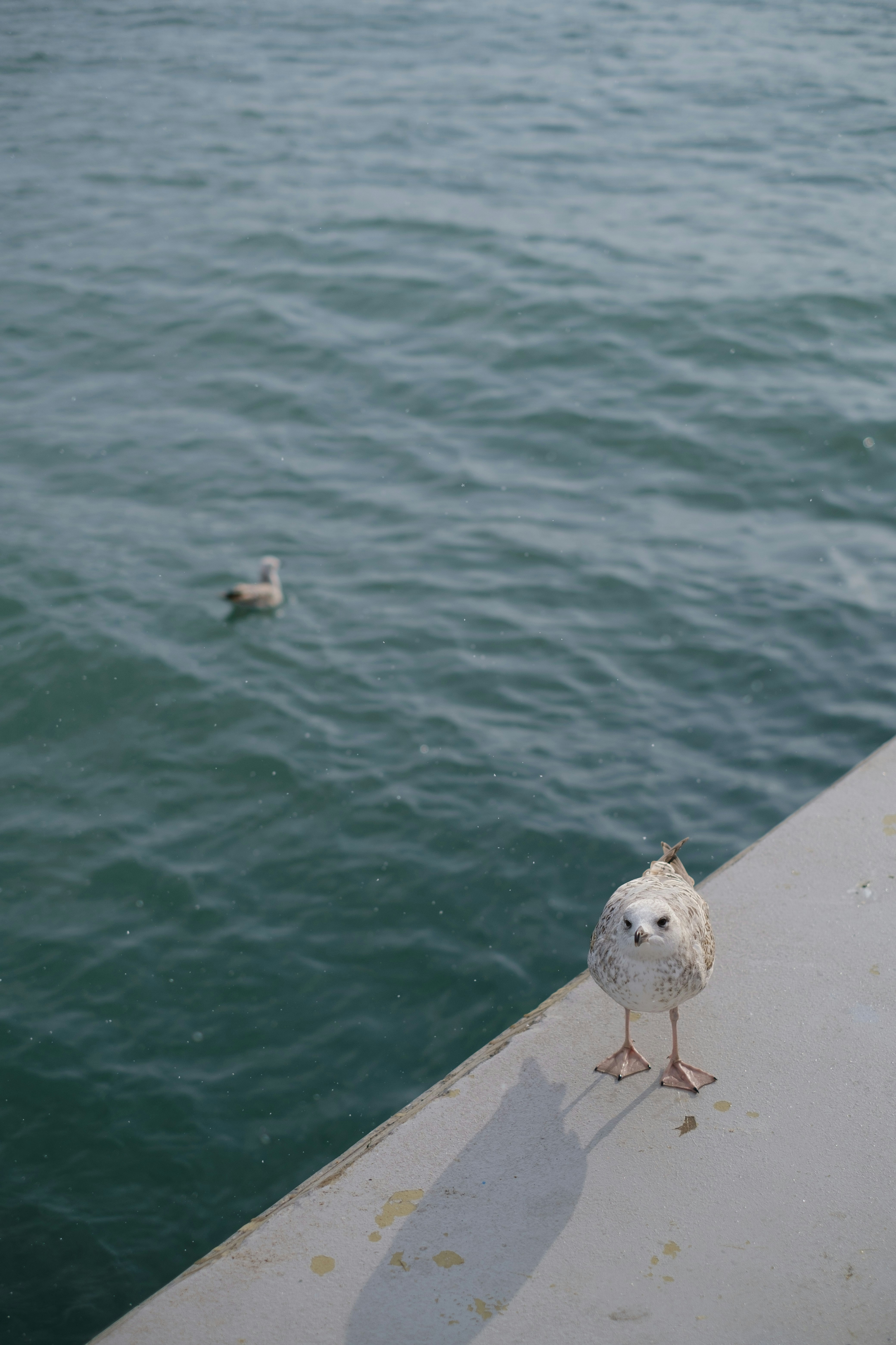 Photo by destroyer25t