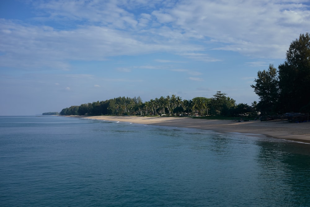 a long stretch of beach next to a forest