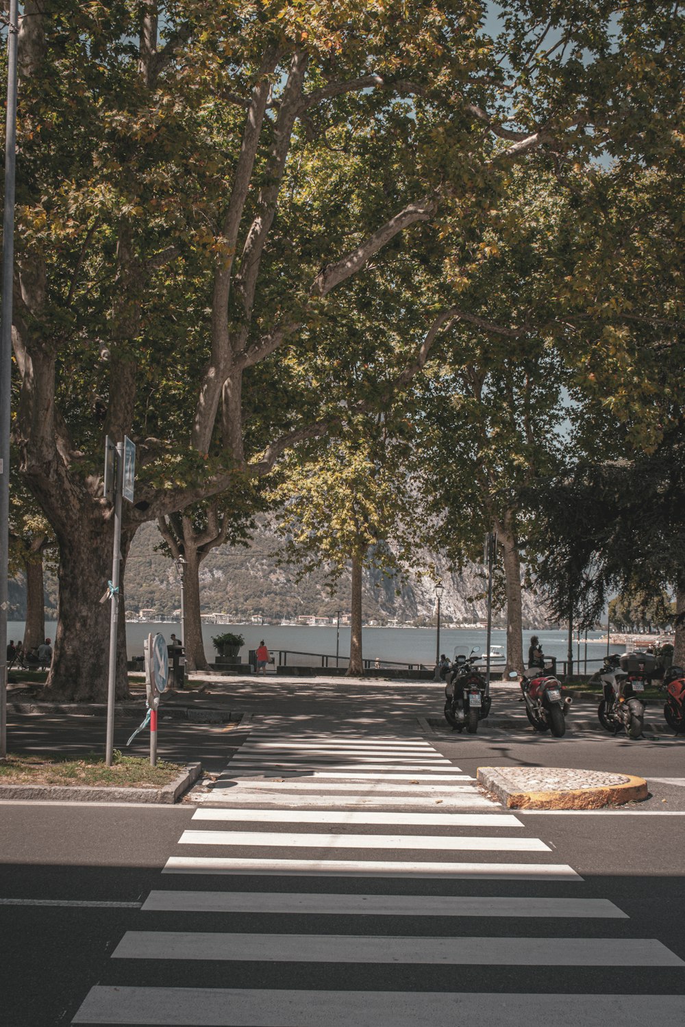 uma faixa de pedestres em um parque com árvores que revestem a rua