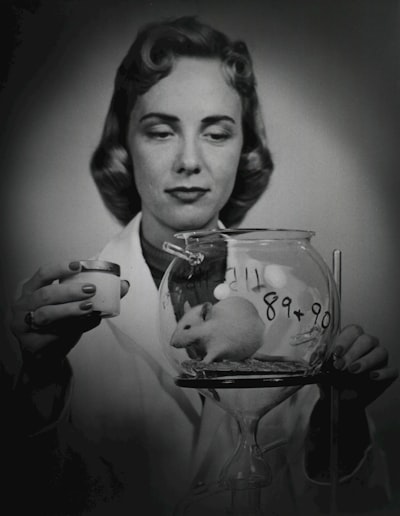 Laboratory mouse