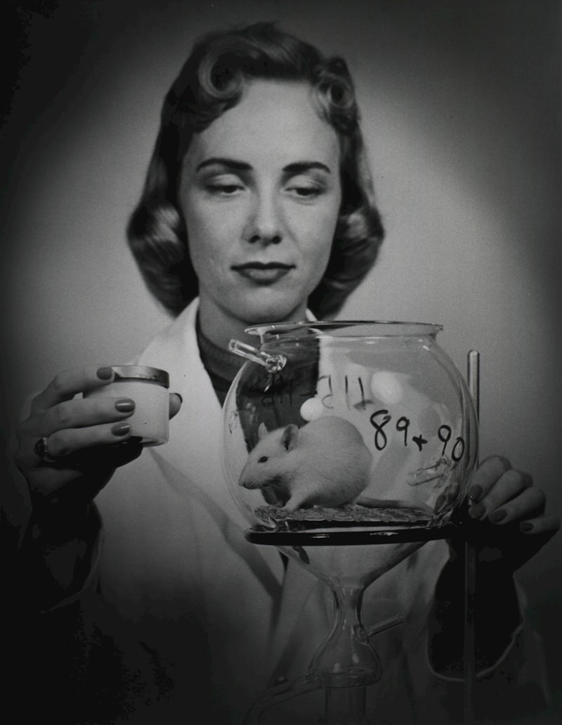 Animalier / Animalière de laboratoire