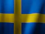 a close up of the flag of sweden