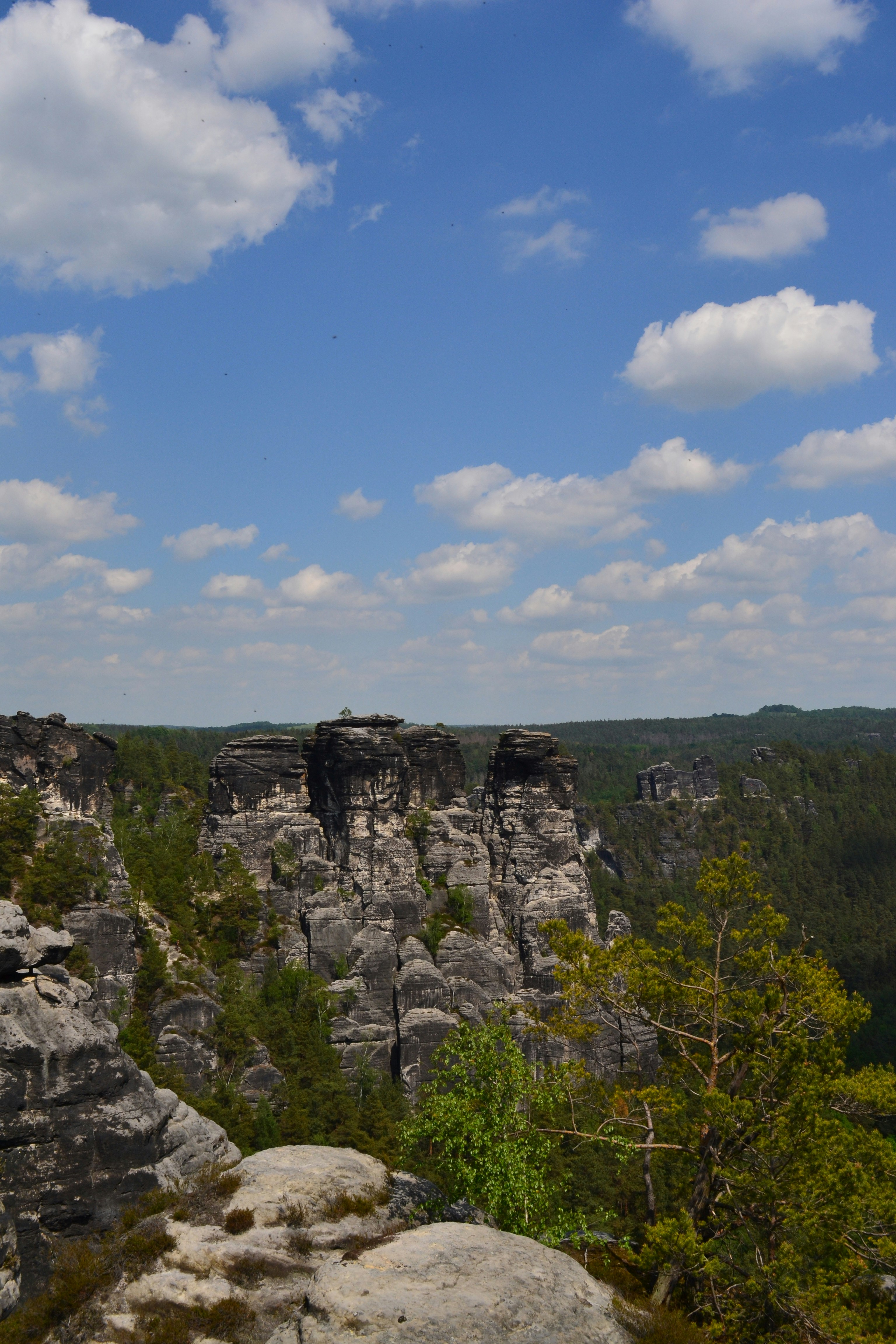 Photo by artistseyes