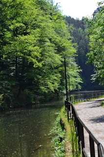 A serene wooded area features a gentle river flowing alongside a cobblestone path bordered by a simple metal railing. Lush green trees canopy overhead, casting dappled sunlight on both the water and the pathway. The setting appears quiet and secluded, providing a peaceful retreat into nature.