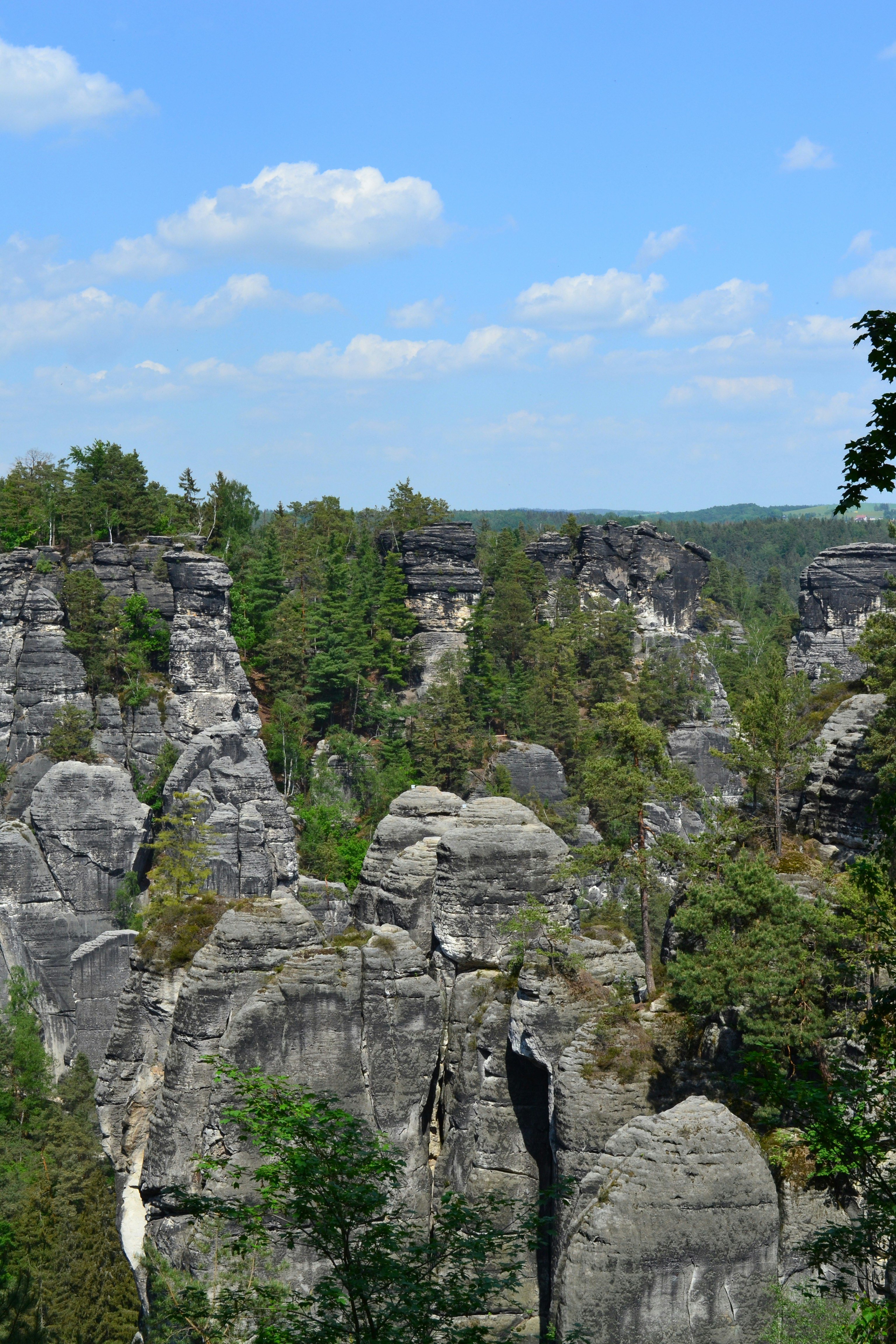 Photo by artistseyes