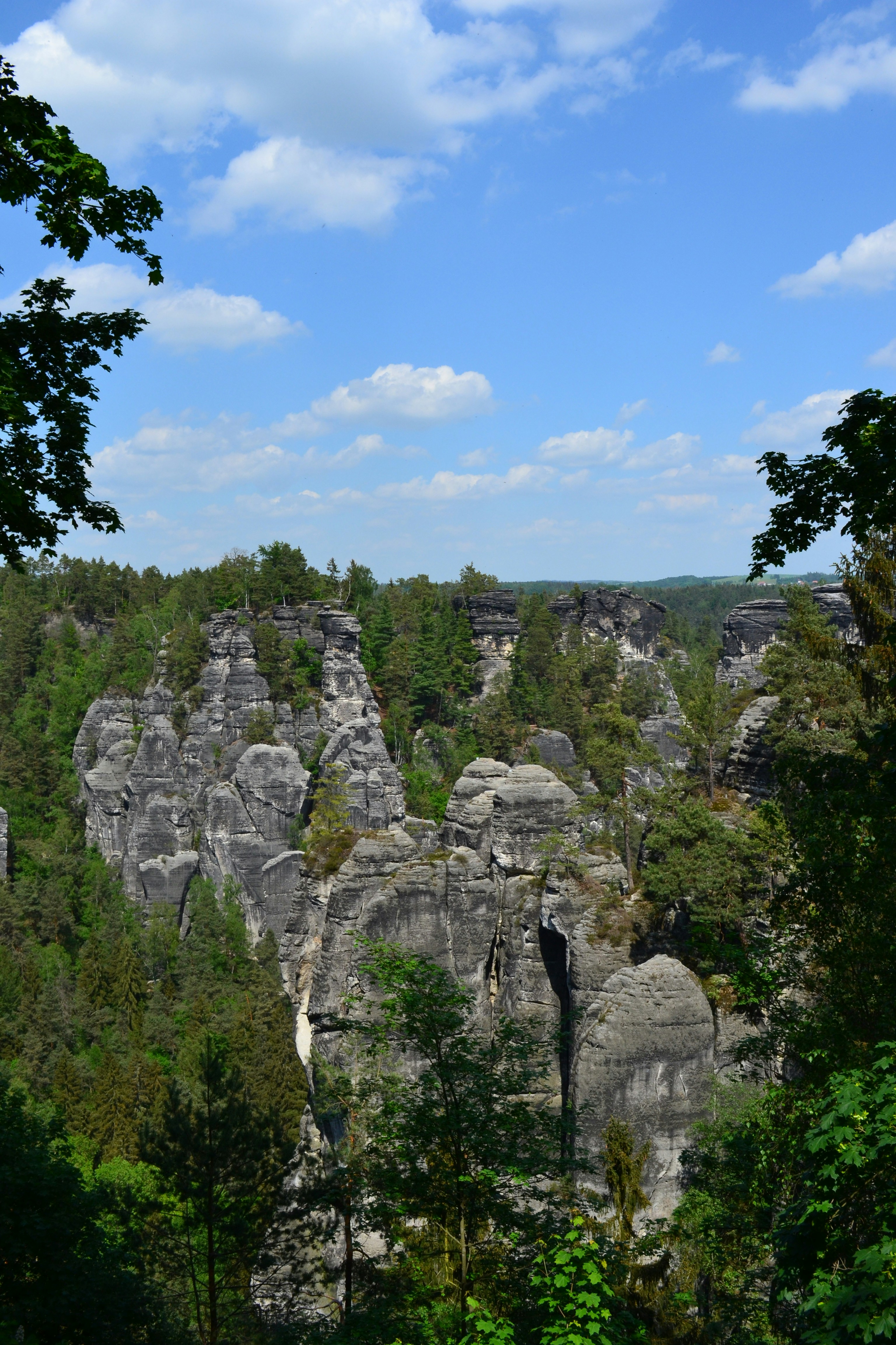 Photo by artistseyes