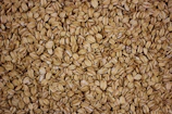a close up of a pile of oats