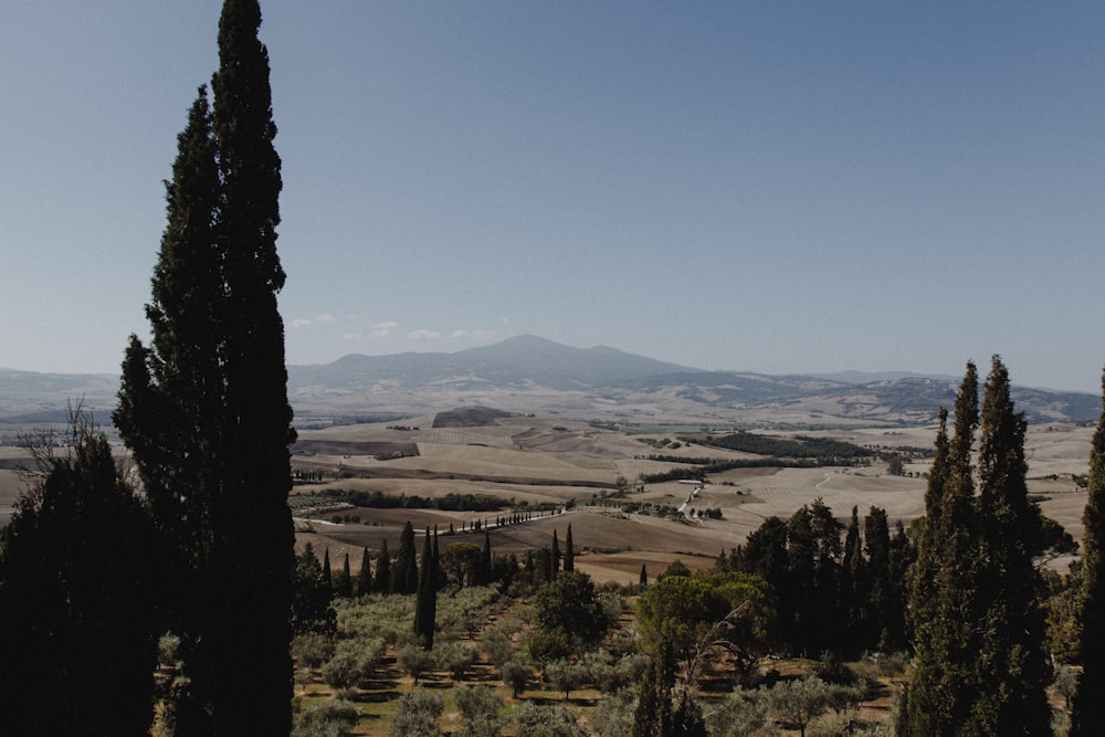 a view of a mountain range with trees and mountains in the background