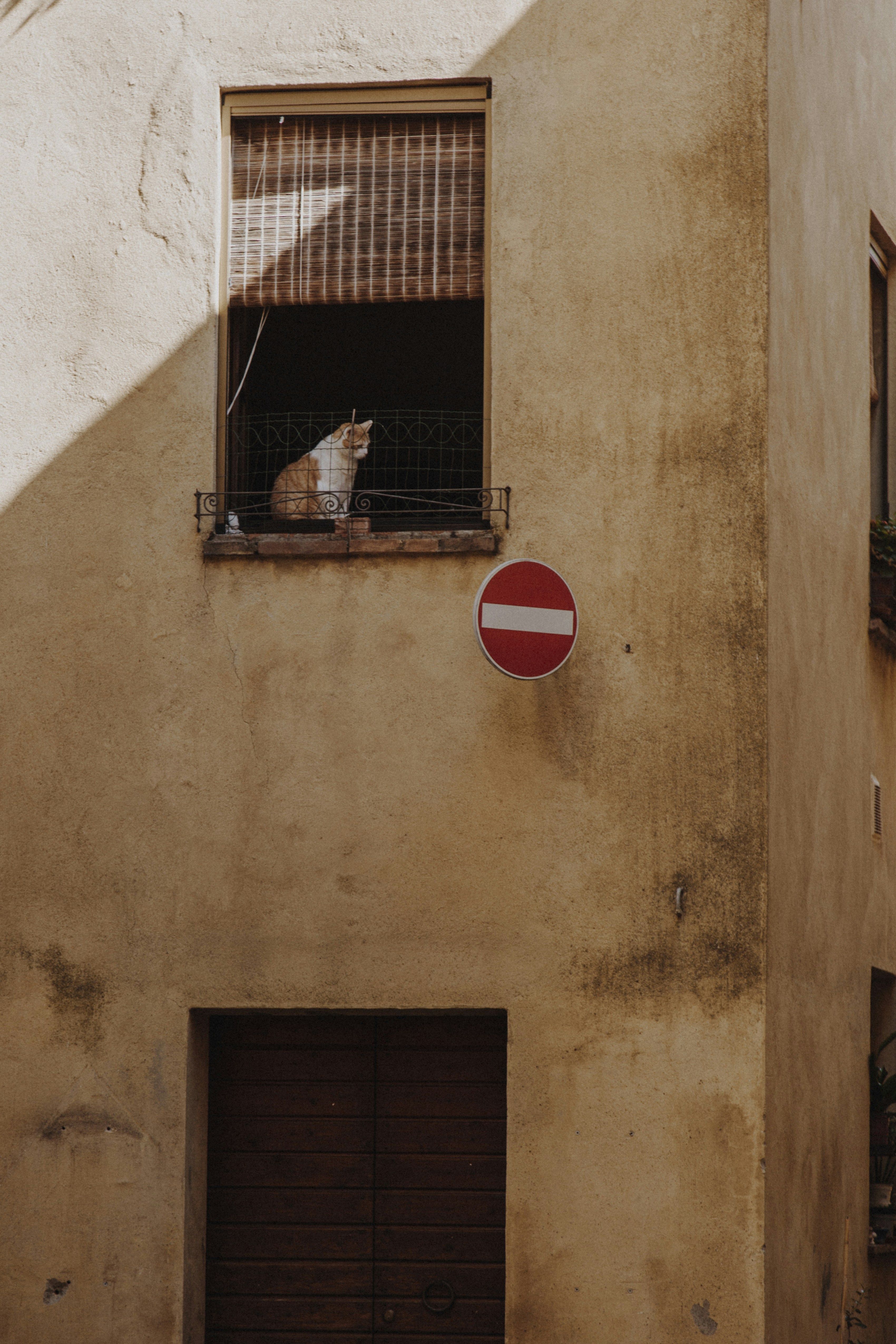 Photo by i_am_simoesse