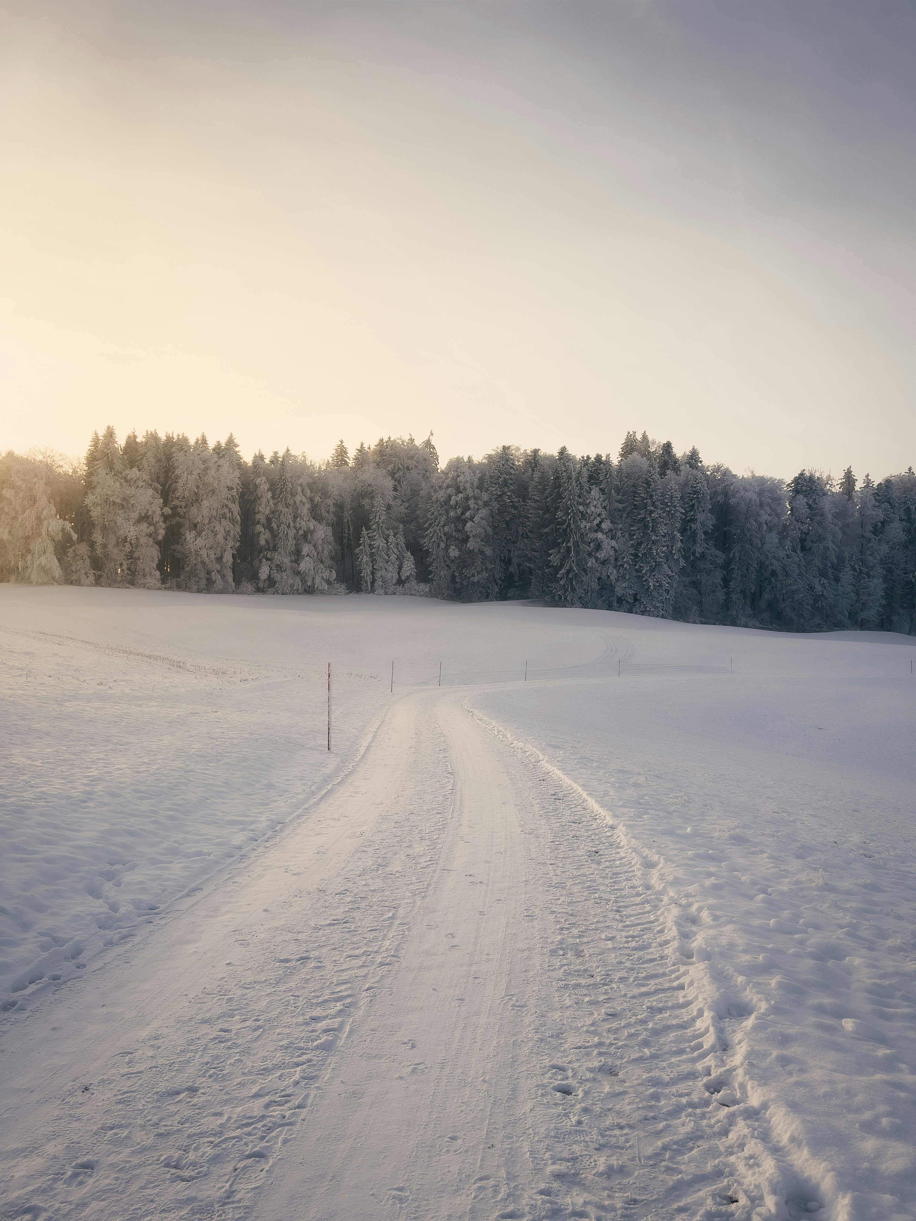 a snow covered field with trees in the background