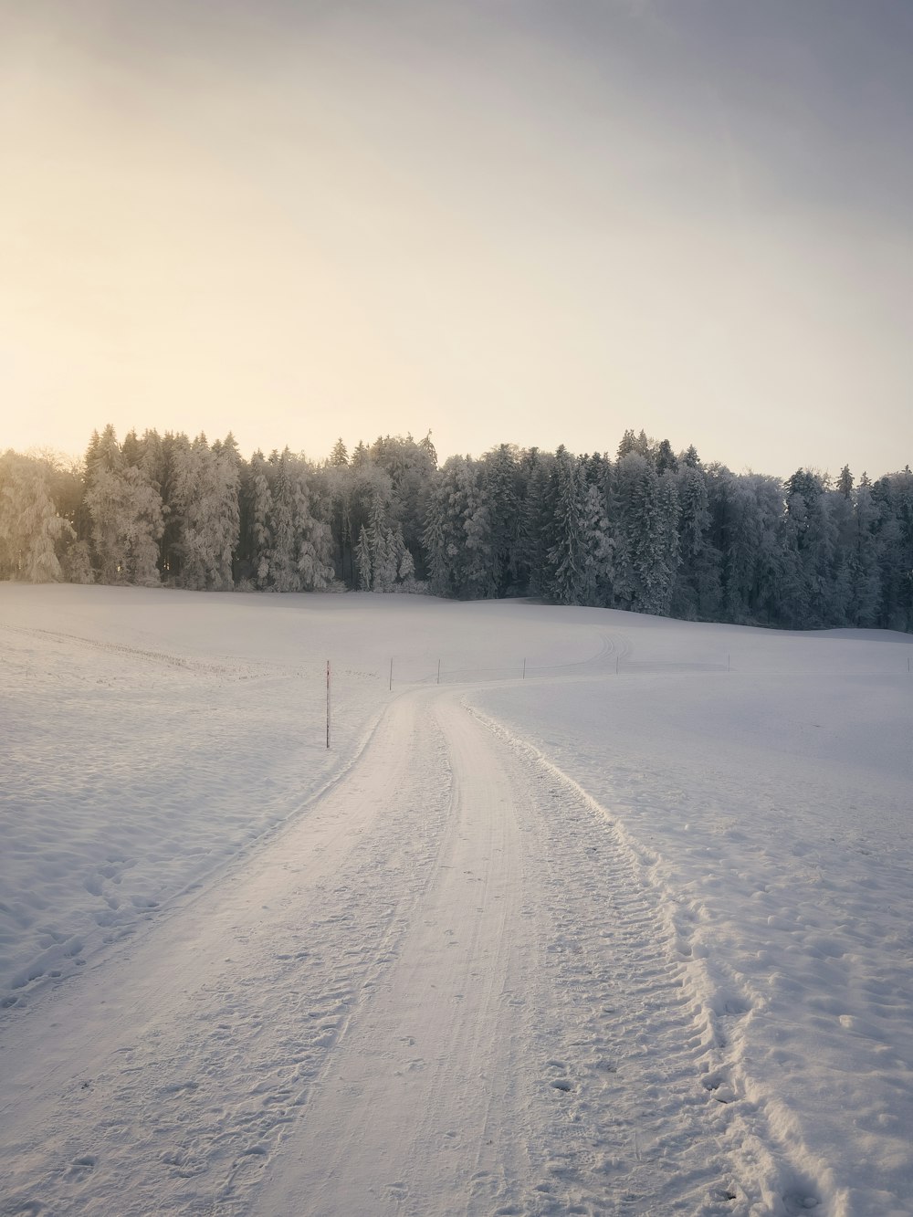 a snow covered field with trees in the background