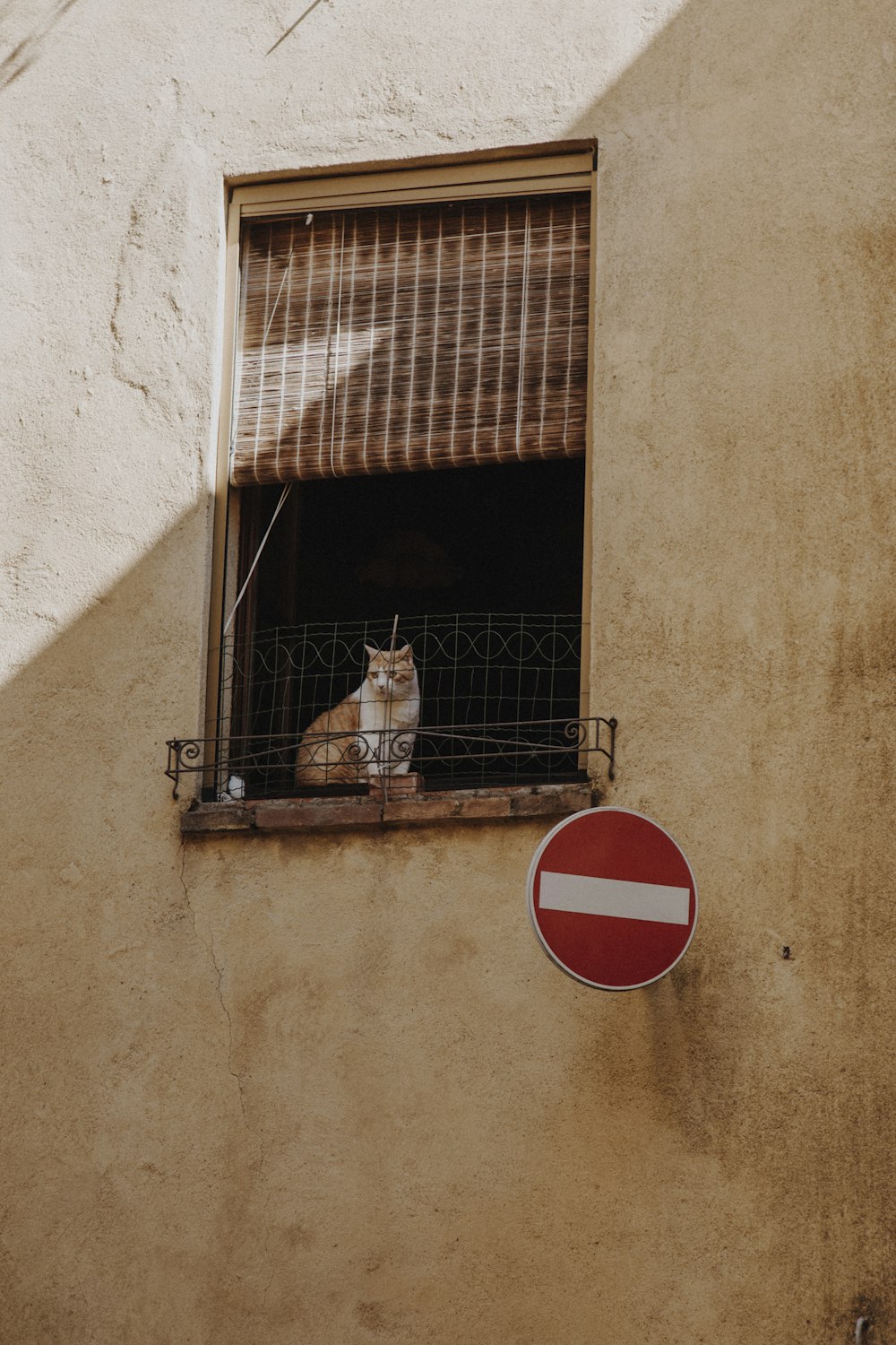 a cat sitting on a window sill next to a red and white sign