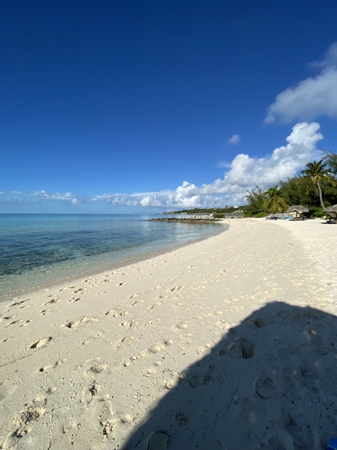 A serene beach scene with clear blue skies, gently crashing waves, and soft, light-colored sand. Palm trees are visible on the right, casting shadows on the sandy shore, and the water appears calm and inviting.