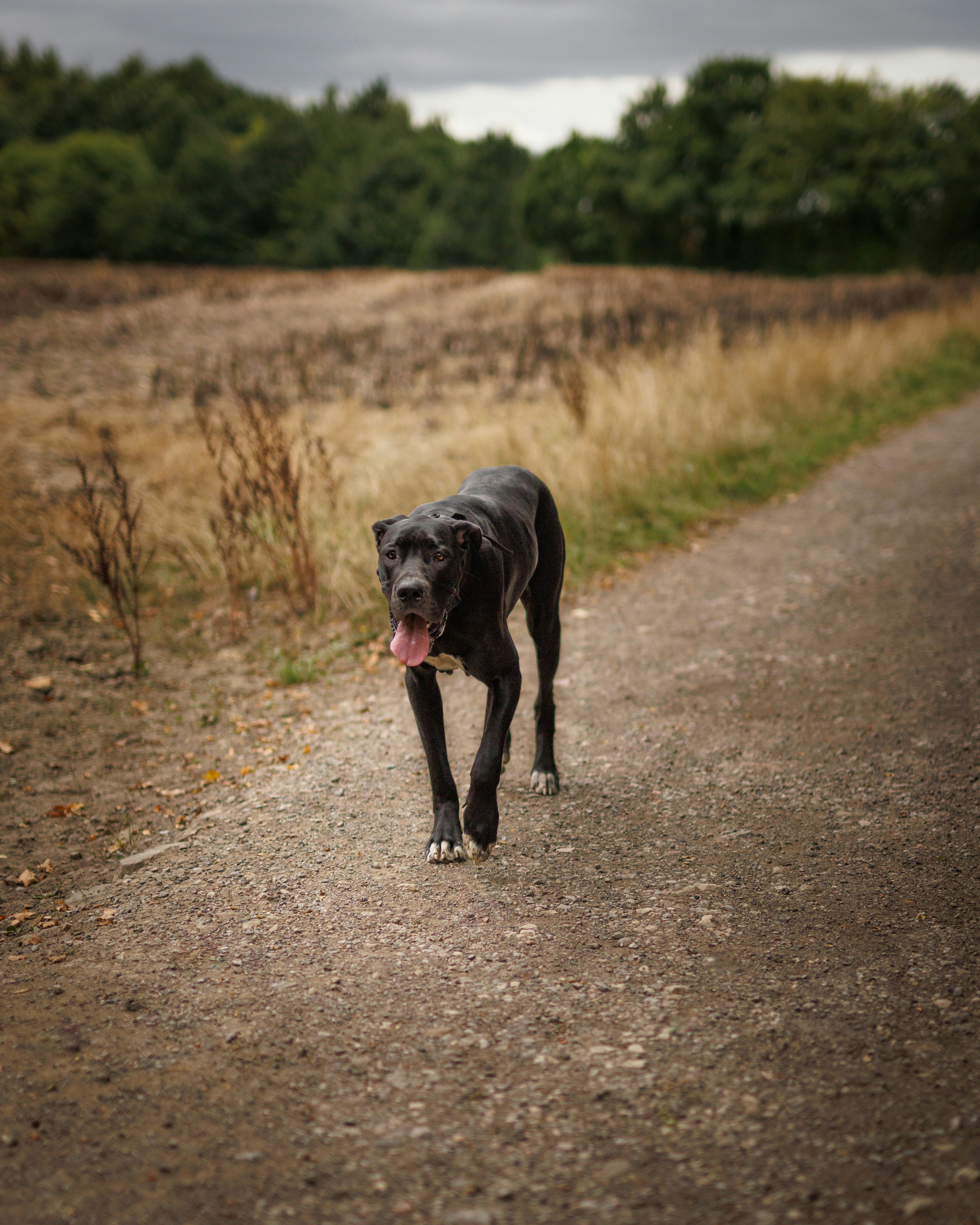 Photo by benofthenorth